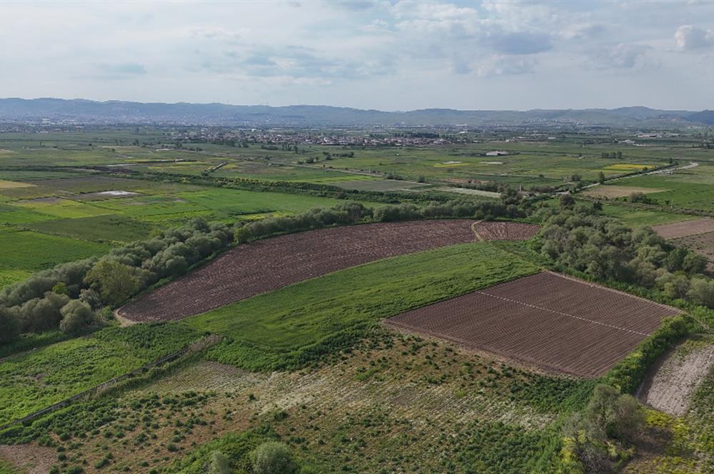 C21 WİNNER OVAKÖY 3.300m² SATILIK TARLA
