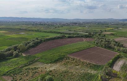 C21 WİNNER OVAKÖY 3.300m² SATILIK TARLA