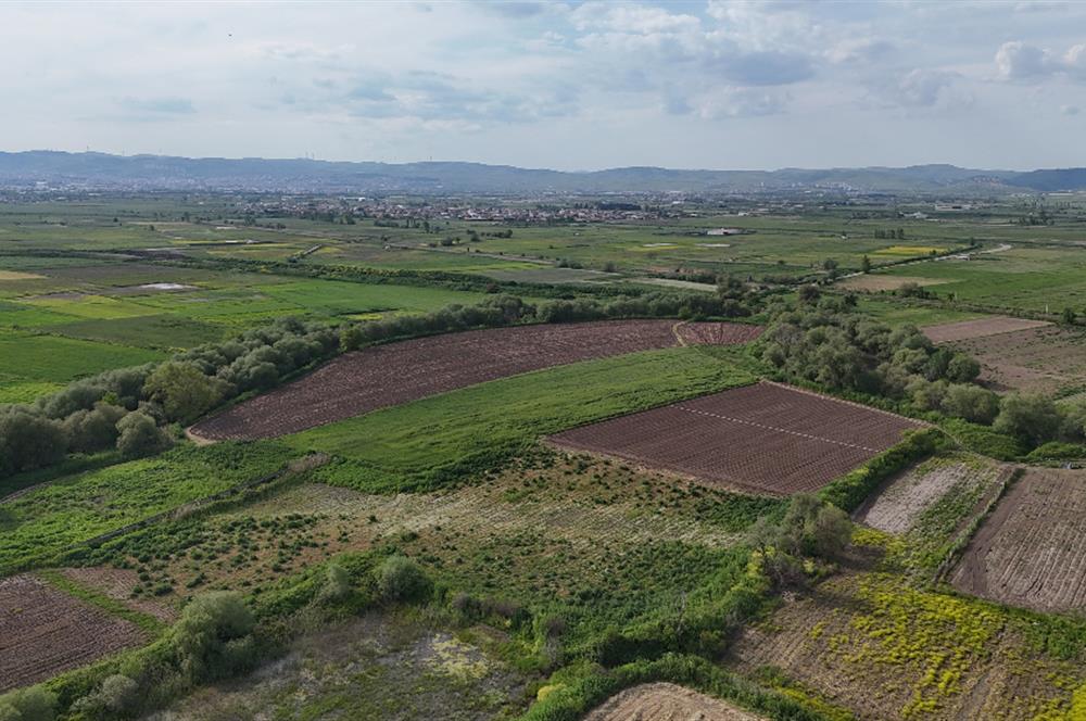 C21 WİNNER OVAKÖY 3.300m² SATILIK TARLA
