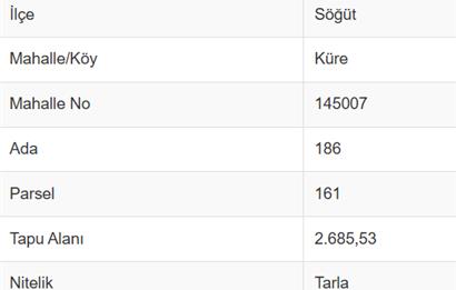 CENTURY 21 VİZYON'DAN SÖĞÜT KÜRE’DE SATILIK TARLA
