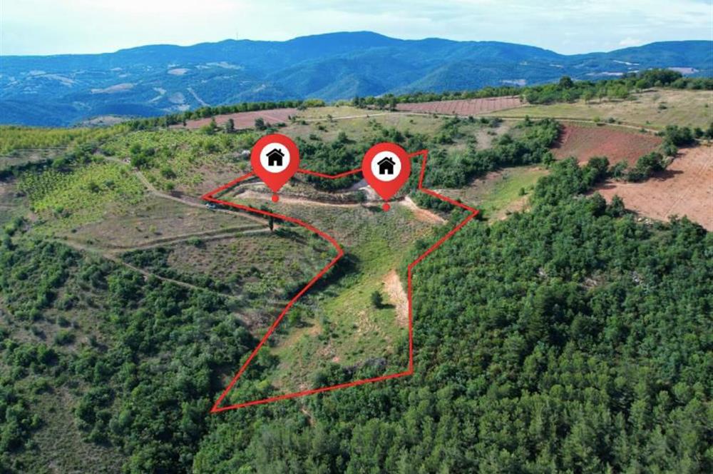 İznik Tacir'de Satılık Göl ve Doğa Manzaralı Tarla