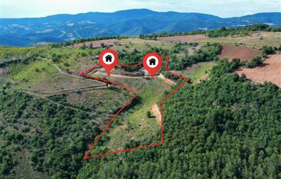 İznik Tacir'de Satılık Göl ve Doğa Manzaralı Tarla