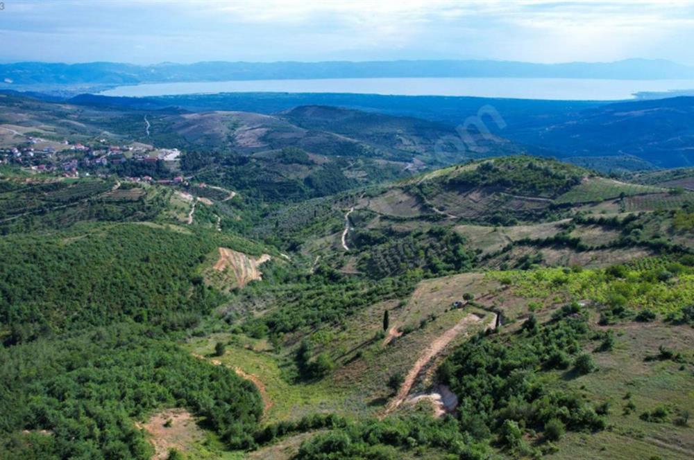 İznik Tacir'de Satılık Göl ve Doğa Manzaralı Tarla