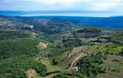 İznik Tacir'de Satılık Göl ve Doğa Manzaralı Tarla