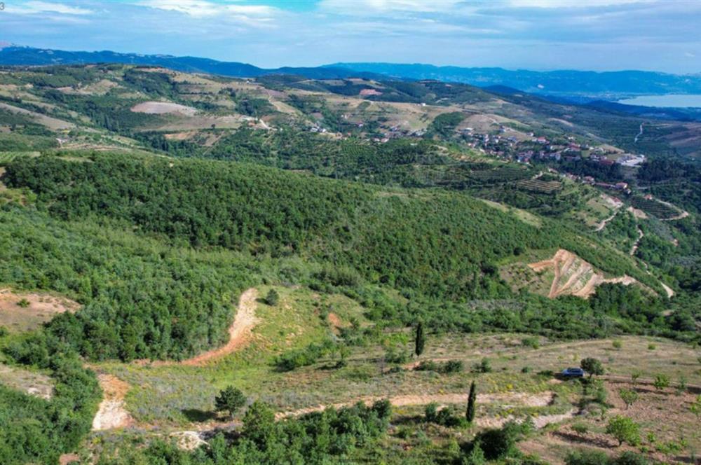 İznik Tacir'de Satılık Göl ve Doğa Manzaralı Tarla