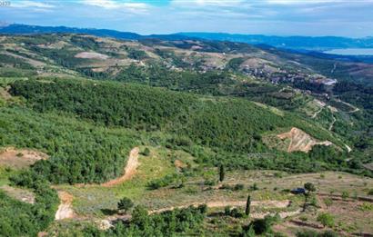 İznik Tacir'de Satılık Göl ve Doğa Manzaralı Tarla