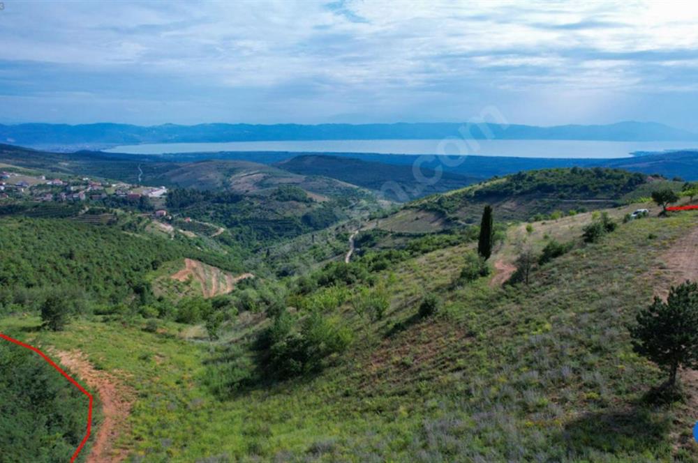 İznik Tacir'de Satılık Göl ve Doğa Manzaralı Tarla
