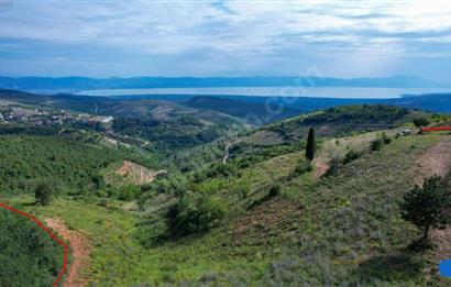 İznik Tacir'de Satılık Göl ve Doğa Manzaralı Tarla