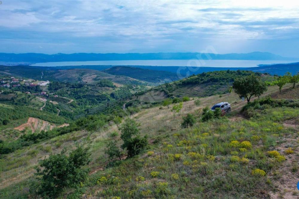 İznik Tacir'de Satılık Göl ve Doğa Manzaralı Tarla