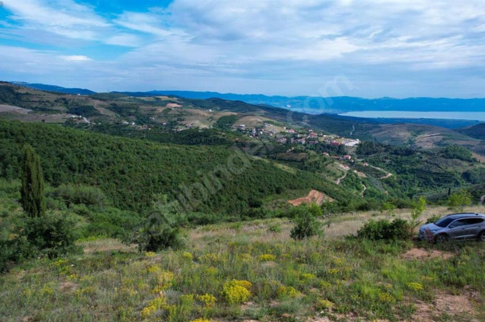 İznik Tacir'de Satılık Göl ve Doğa Manzaralı Tarla