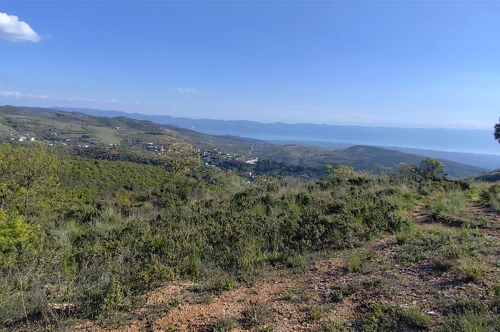 İznik Tacir'de Satılık Göl ve Doğa Manzaralı Tarla