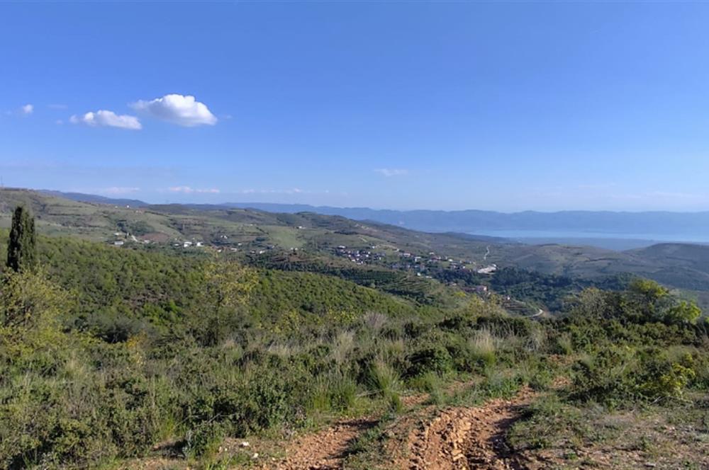 İznik Tacir'de Satılık Göl ve Doğa Manzaralı Tarla