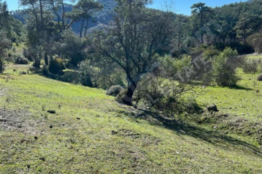  ANTALYA KAŞ GÜRSU’DA ULAŞIMI KOLAY, 14.714 M² TARLA