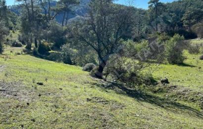  ANTALYA KAŞ GÜRSU’DA ULAŞIMI KOLAY, 14.714 M² TARLA