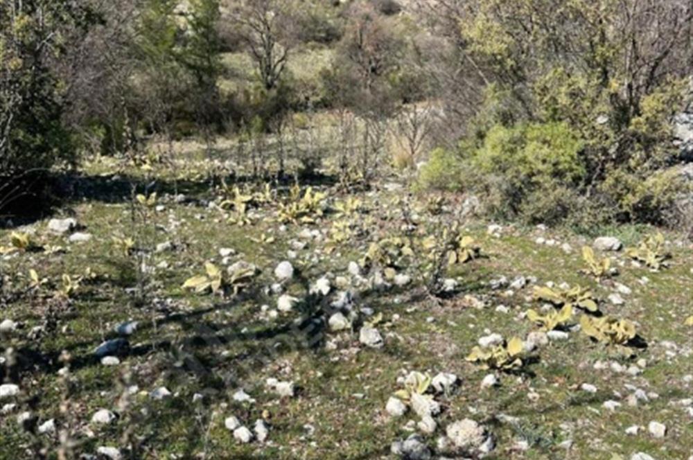  ANTALYA KAŞ GÜRSU’DA ULAŞIMI KOLAY, 14.714 M² TARLA