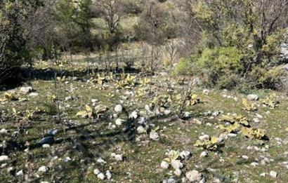  ANTALYA KAŞ GÜRSU’DA ULAŞIMI KOLAY, 14.714 M² TARLA