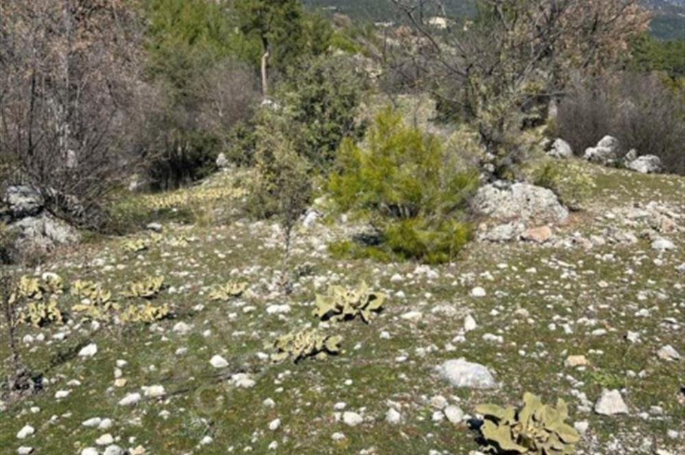  ANTALYA KAŞ GÜRSU’DA ULAŞIMI KOLAY, 14.714 M² TARLA
