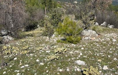  ANTALYA KAŞ GÜRSU’DA ULAŞIMI KOLAY, 14.714 M² TARLA