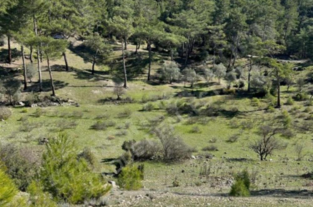  ANTALYA KAŞ GÜRSU’DA ULAŞIMI KOLAY, 14.714 M² TARLA