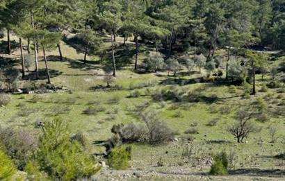  ANTALYA KAŞ GÜRSU’DA ULAŞIMI KOLAY, 14.714 M² TARLA
