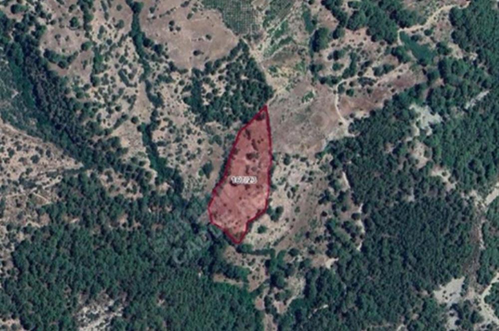  ANTALYA KAŞ GÜRSU’DA ULAŞIMI KOLAY, 14.714 M² TARLA