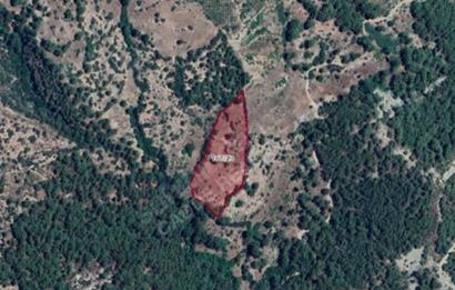  ANTALYA KAŞ GÜRSU’DA ULAŞIMI KOLAY, 14.714 M² TARLA