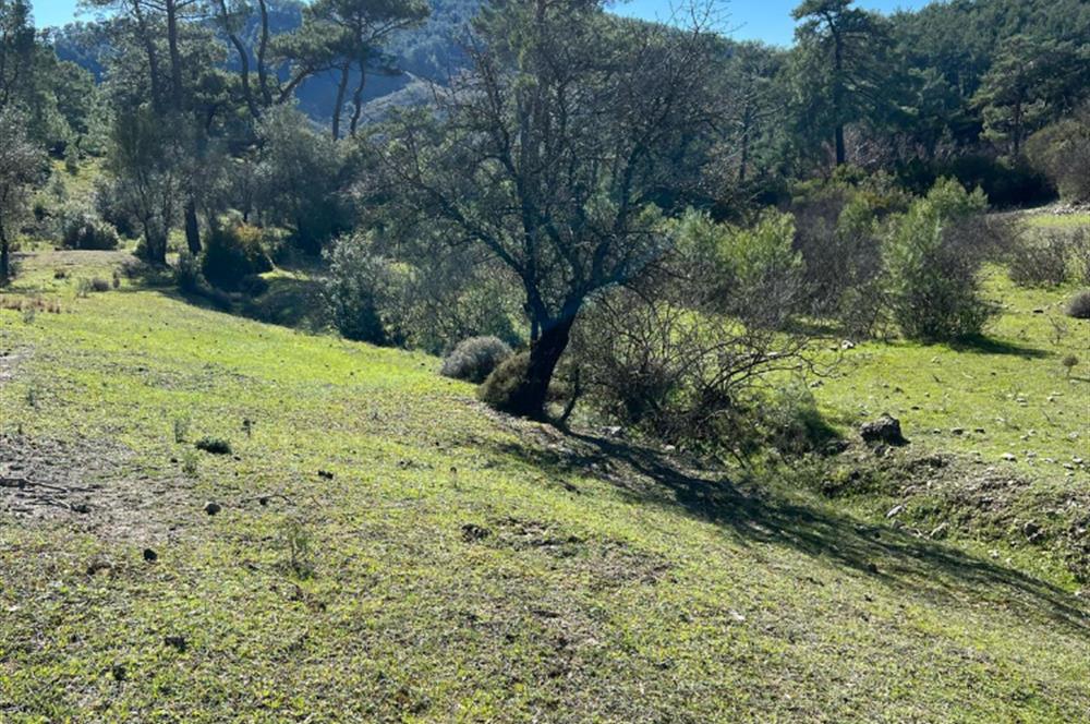  ANTALYA KAŞ GÜRSU’DA ULAŞIMI KOLAY, 14.714 M² TARLA