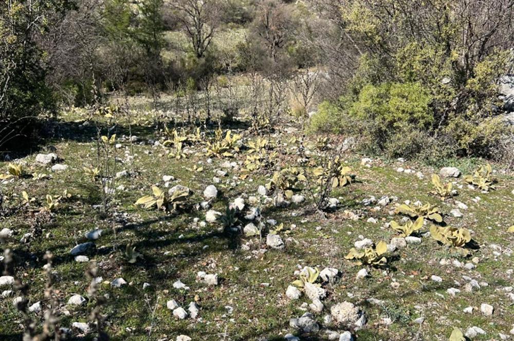  ANTALYA KAŞ GÜRSU’DA ULAŞIMI KOLAY, 14.714 M² TARLA