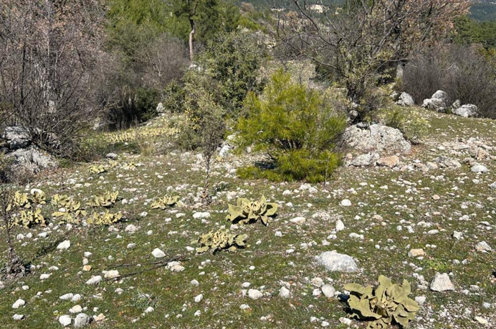  ANTALYA KAŞ GÜRSU’DA ULAŞIMI KOLAY, 14.714 M² TARLA