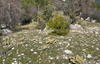  ANTALYA KAŞ GÜRSU’DA ULAŞIMI KOLAY, 14.714 M² TARLA