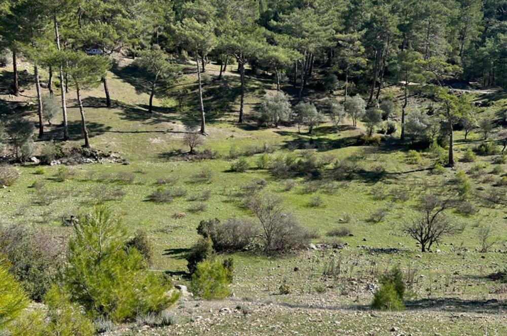  ANTALYA KAŞ GÜRSU’DA ULAŞIMI KOLAY, 14.714 M² TARLA