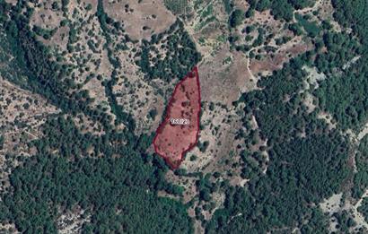  ANTALYA KAŞ GÜRSU’DA ULAŞIMI KOLAY, 14.714 M² TARLA
