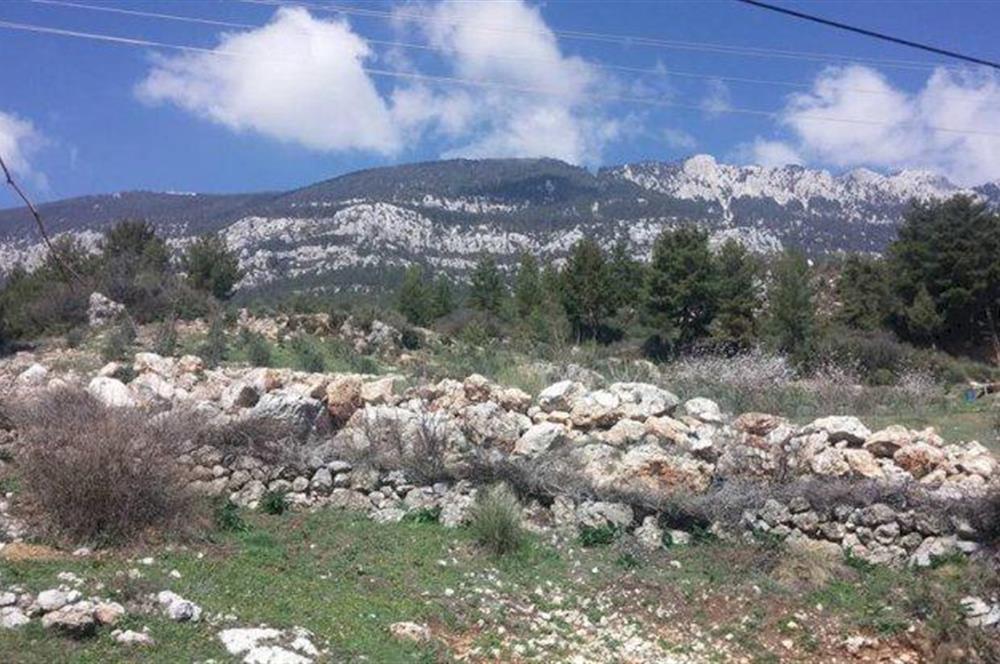  ANTALYA KAŞ GÜRSU’DA ULAŞIMI KOLAY, 14.714 M² TARLA