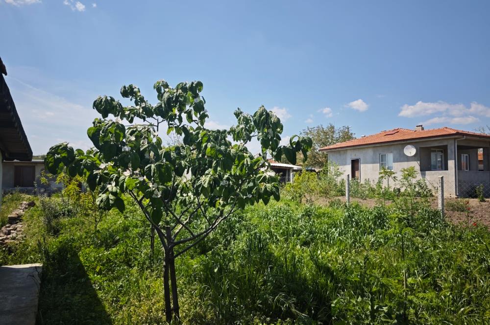 CENTURY 21 BAL'DAN DAVUTLAR mah. TAŞ EV ve BAHÇESİ,