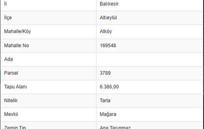 Century21 Bal'dan Altıeylül Atköy Mahallesinde Satılık Tarla