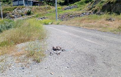 YENİ FOÇA SAZLICADA 15/30 İMARLI DENİZE YAKIN YATIRIMLIK ARSA