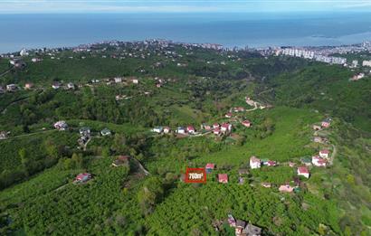 CENTURY 21 UZMAN KAVALA'DA FULL DENİZ MANZARALI FIRSAT ARSA