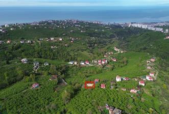 CENTURY 21 UZMAN KAVALA'DA FULL DENİZ MANZARALI FIRSAT ARSA - 6 - 34137