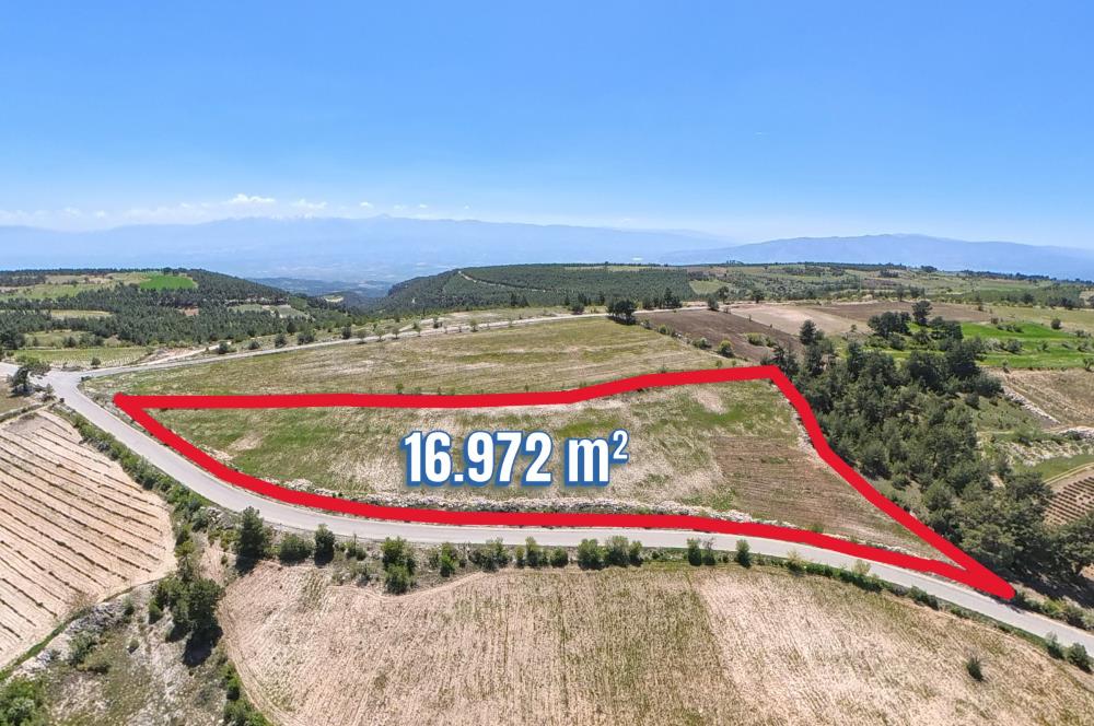 C21 LOFT'TAN PAMUKKALE AKÇAPINAR'DA 16.972M² SATILIK TARLA