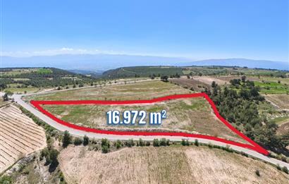 C21 LOFT'TAN PAMUKKALE AKÇAPINAR'DA 16.972M² SATILIK TARLA