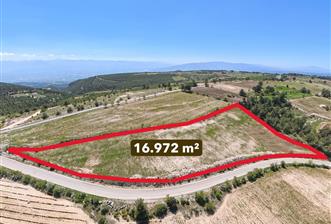C21 LOFT'TAN PAMUKKALE AKÇAPINAR'DA 16.972M² SATILIK TARLA - 1 - 34155