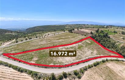 C21 LOFT'TAN PAMUKKALE AKÇAPINAR'DA 16.972M² SATILIK TARLA