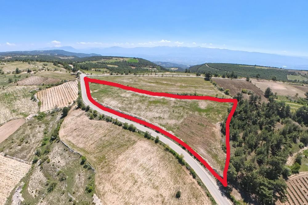 C21 LOFT'TAN PAMUKKALE AKÇAPINAR'DA 16.972M² SATILIK TARLA