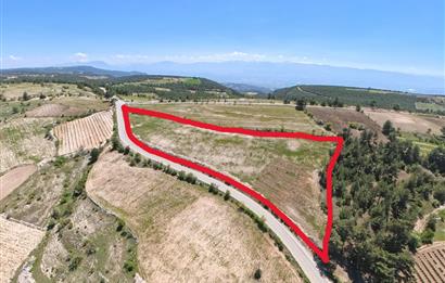 C21 LOFT'TAN PAMUKKALE AKÇAPINAR'DA 16.972M² SATILIK TARLA