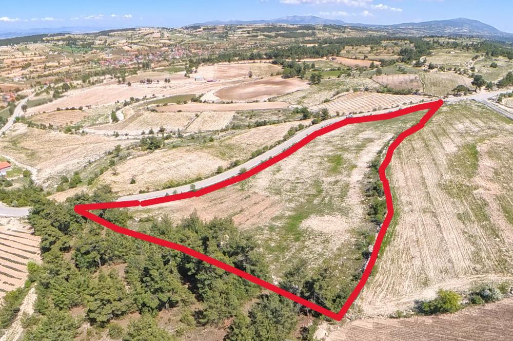 C21 LOFT'TAN PAMUKKALE AKÇAPINAR'DA 16.972M² SATILIK TARLA