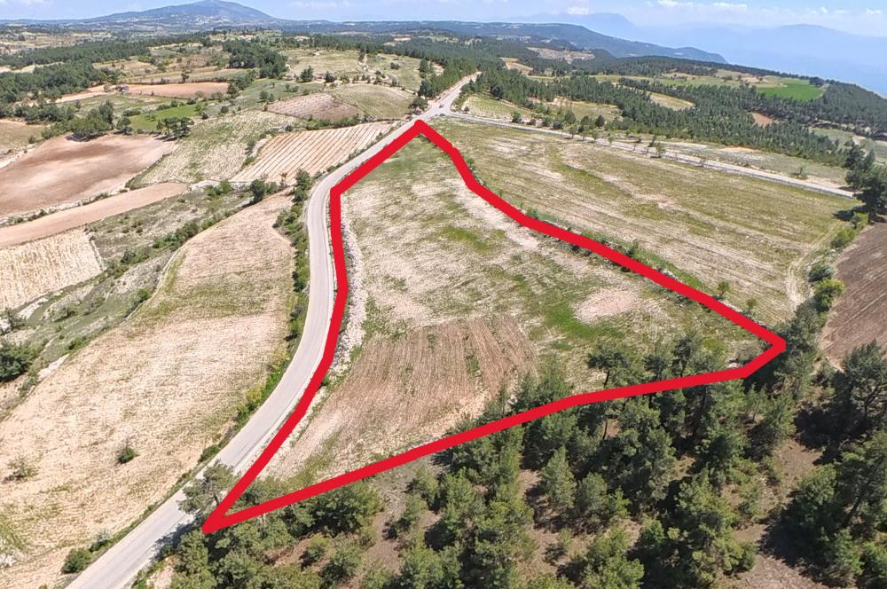 C21 LOFT'TAN PAMUKKALE AKÇAPINAR'DA 16.972M² SATILIK TARLA