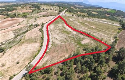 C21 LOFT'TAN PAMUKKALE AKÇAPINAR'DA 16.972M² SATILIK TARLA