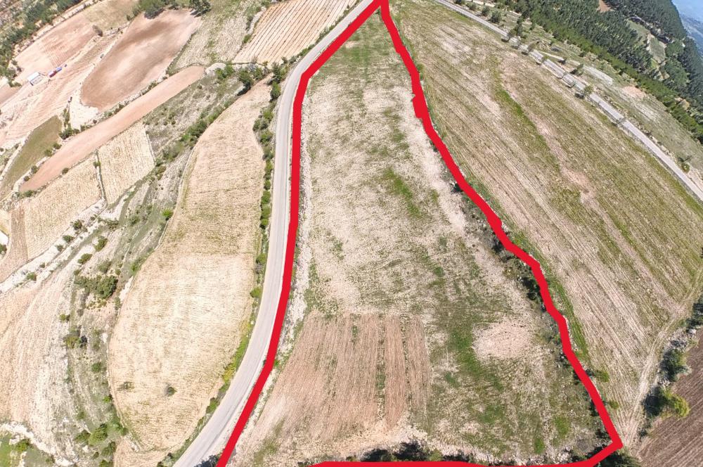 C21 LOFT'TAN PAMUKKALE AKÇAPINAR'DA 16.972M² SATILIK TARLA