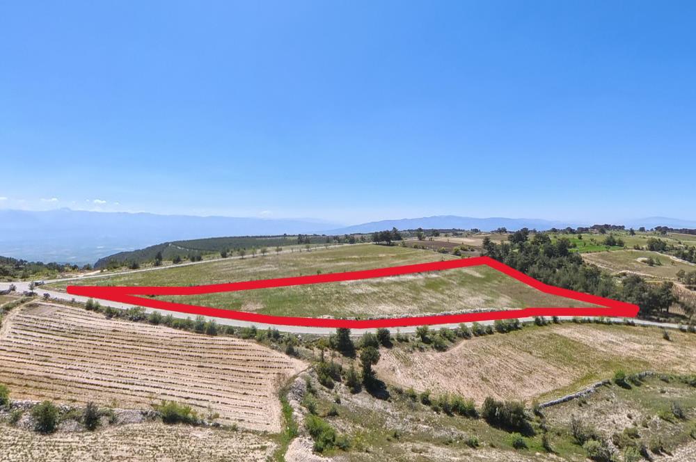 C21 LOFT'TAN PAMUKKALE AKÇAPINAR'DA 16.972M² SATILIK TARLA