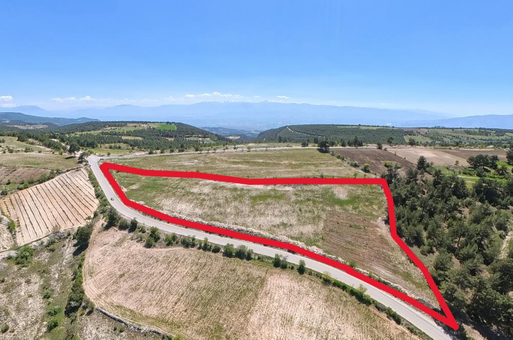 C21 LOFT'TAN PAMUKKALE AKÇAPINAR'DA 16.972M² SATILIK TARLA